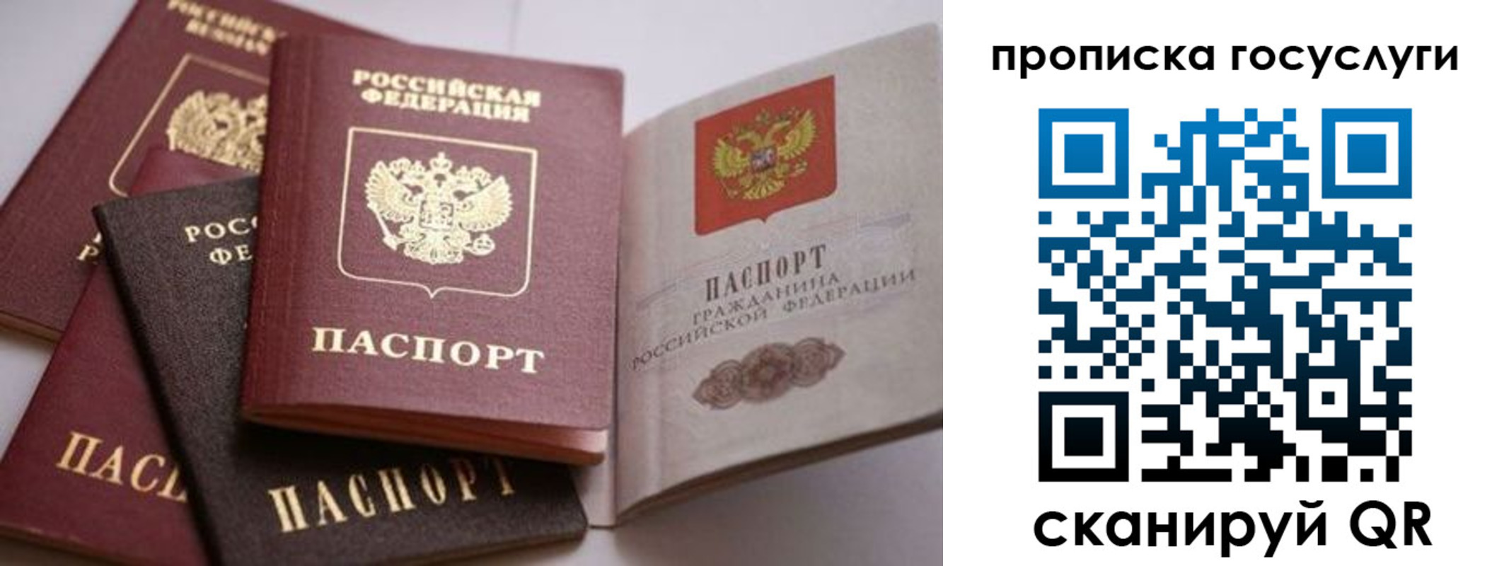 прописка штамп в Павлово